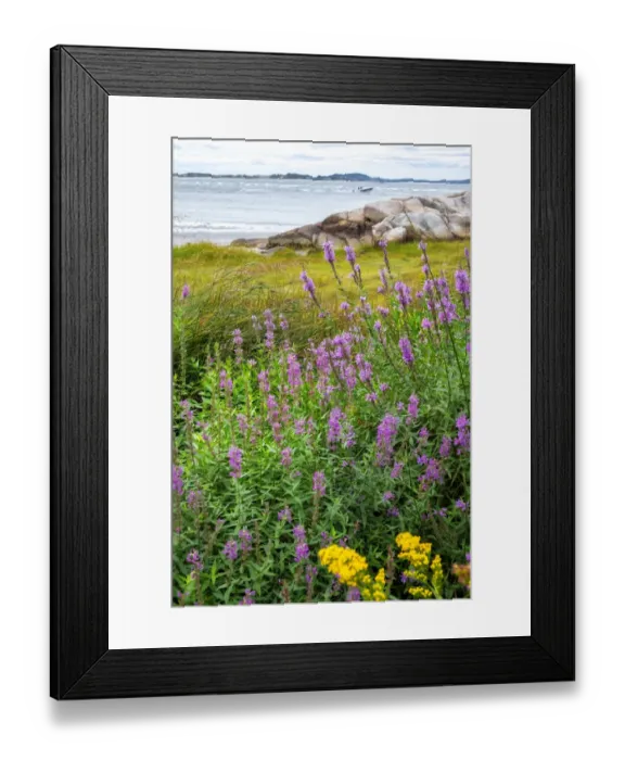 Framed Print : Ipswich Bay, Annisquam, Massachusetts, USA Framed Print : Ipswich Bay, Annisquam, Massachusetts, USA