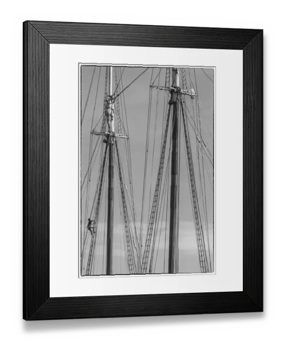 Framed Print : USA, New England, Massachusetts, Cape Ann, Gloucester, Gloucester Schooner Festival