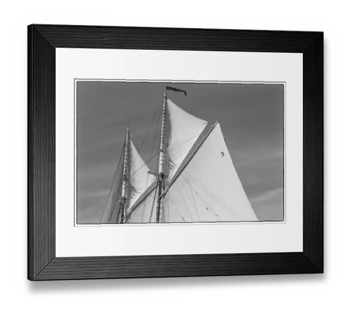 Framed Print : USA, New England, Massachusetts, Cape Ann, Gloucester, Gloucester Schooner Festival Framed Print : USA, New England, Massachusetts, Cape Ann, Gloucester, Gloucester Schooner Festival