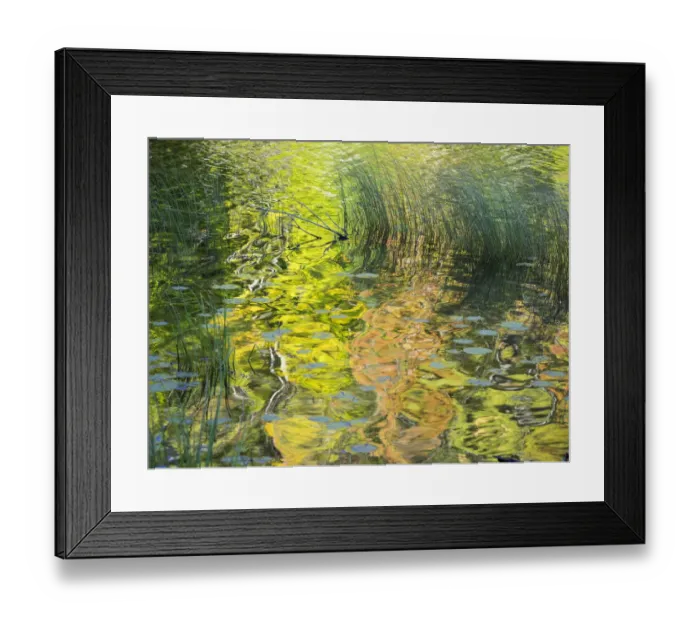 Framed Print : US, Michigan, Upper Peninsula. Reflections of fall colors in Council Lake Framed Print : US, Michigan, Upper Peninsula. Reflections of fall colors in Council Lake