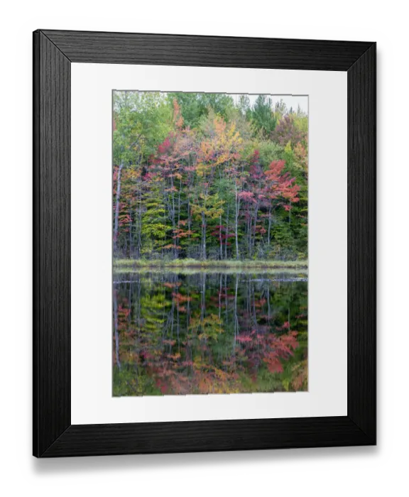 Framed Print : Thornton Lake in fall color, Alger County, Michigan Framed Print : Thornton Lake in fall color, Alger County, Michigan