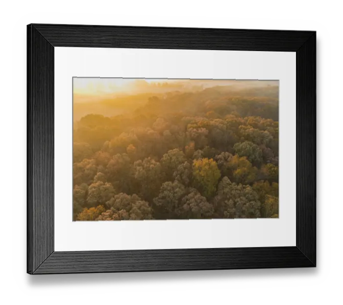 Framed Print : Aerial View of fall Color at sunrise, Marion County, Illinois