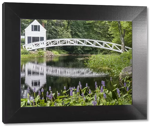 USA, Maine. Somesville bridge with reflection in Acadia National Park