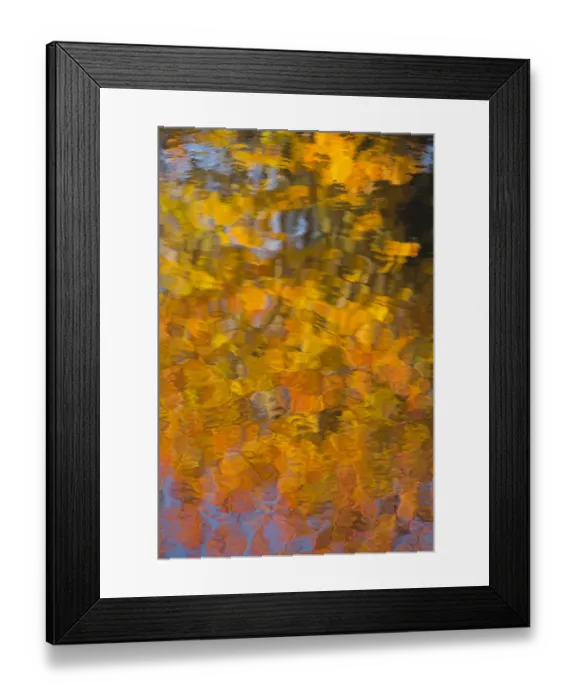 Framed Print : USA, Maine. Abstract reflections in a pond in Acadia National Park Framed Print : USA, Maine. Abstract reflections in a pond in Acadia National Park