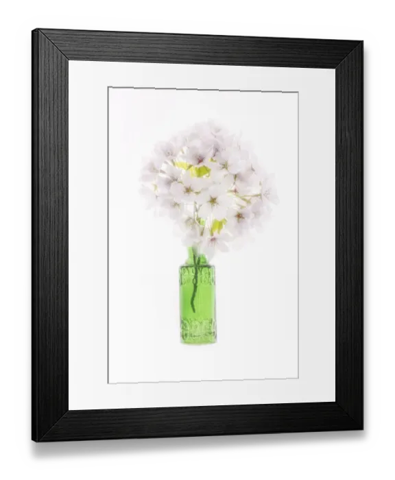 Framed Print : USA, Maryland, Bethesda. Green vase with cherry blossoms