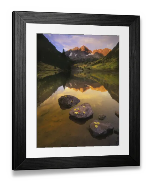 Framed Print : Aspen leaves signify the end of Fall and the beginning of winter at the maroon bells near Framed Print : Aspen leaves signify the end of Fall and the beginning of winter at the maroon bells near