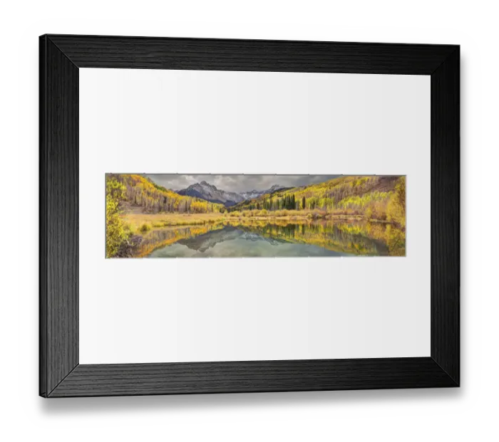 Framed Print : Mt. Snaffles and a sea of gold Aspen trees reflects in a large pond in autumn in