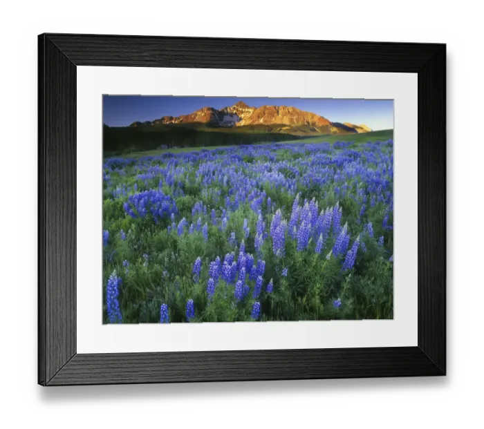 Framed Print : Wilson Peak near Telluride in the Colorado Rocky Mountains Framed Print : Wilson Peak near Telluride in the Colorado Rocky Mountains