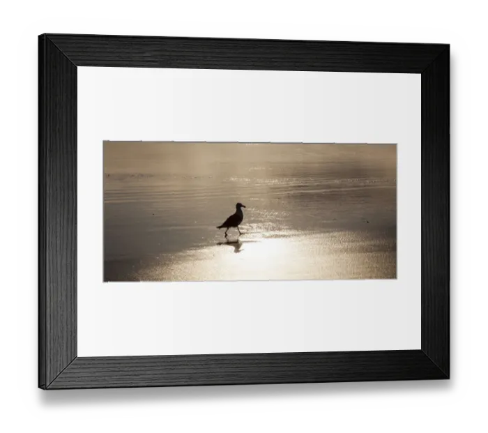 Framed Print : USA, Oregon Cannon Beach with seagull reflection in the sand at sunset