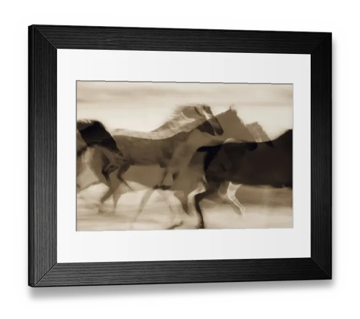 Framed Print : Sepia abstract of wild mustangs (Equus caballus) running. Oregon, USA Framed Print : Sepia abstract of wild mustangs (Equus caballus) running. Oregon, USA