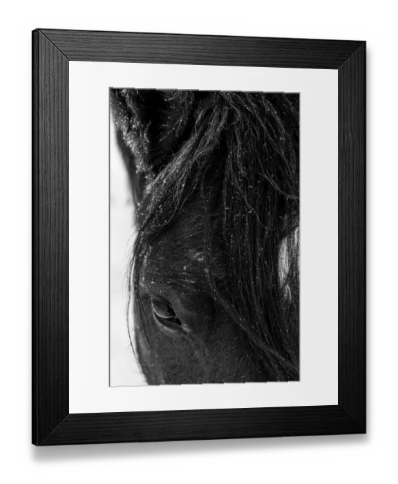 Framed Print : Winter light on Mustang, New Mexico