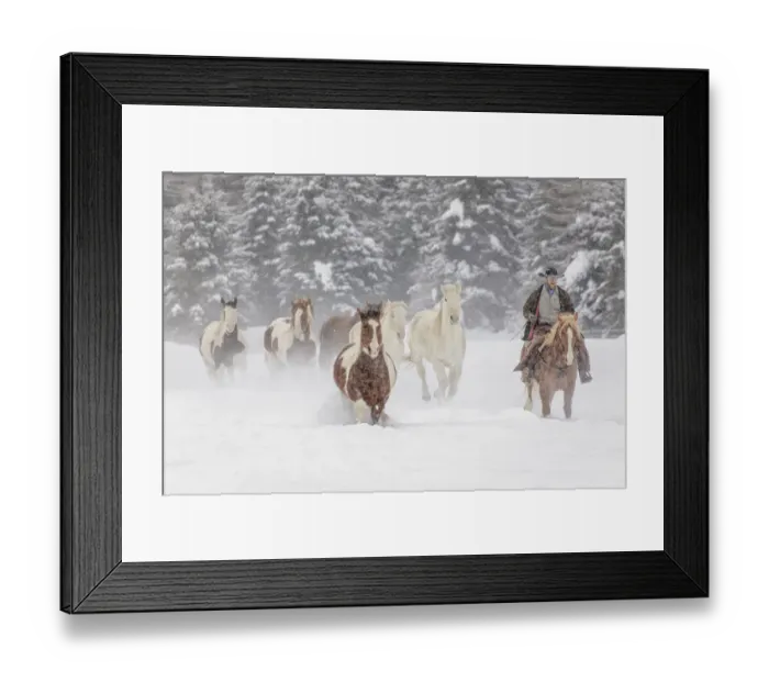 Framed Print : Cowboy during winter roundup, Kalispell, Montana Framed Print : Cowboy during winter roundup, Kalispell, Montana