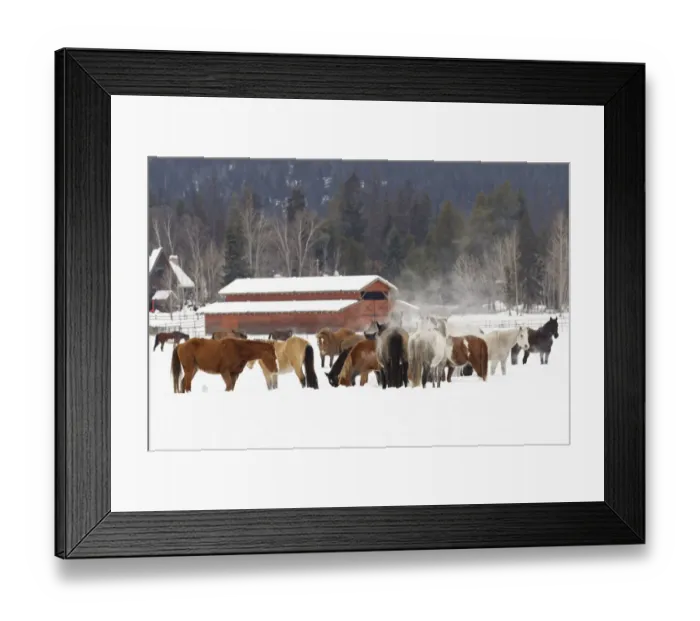 Framed Print : Rodeo horses running during winter roundup, Kalispell, Montana Framed Print : Rodeo horses running during winter roundup, Kalispell, Montana