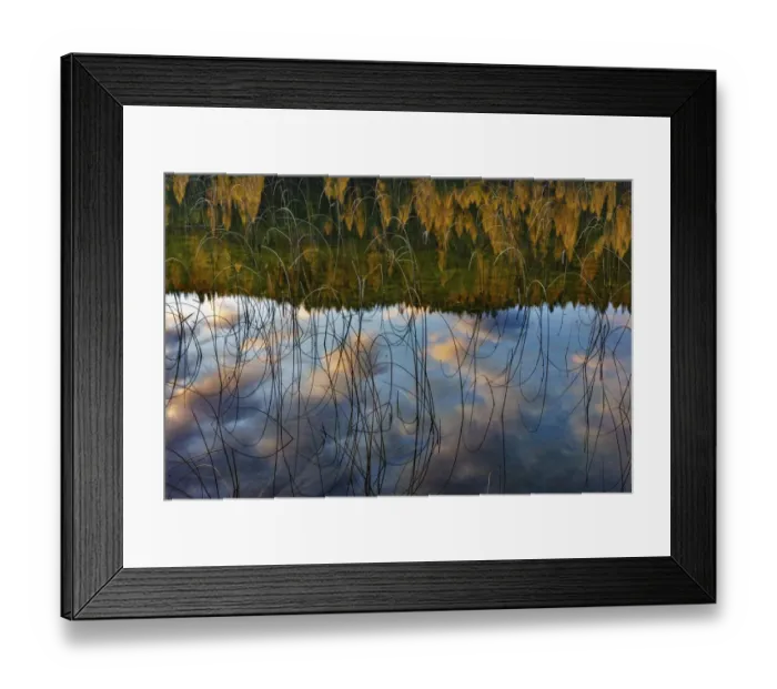 Framed Print : Autumn reflections in Spencer Lake near Whitefish, Montana, USA Framed Print : Autumn reflections in Spencer Lake near Whitefish, Montana, USA