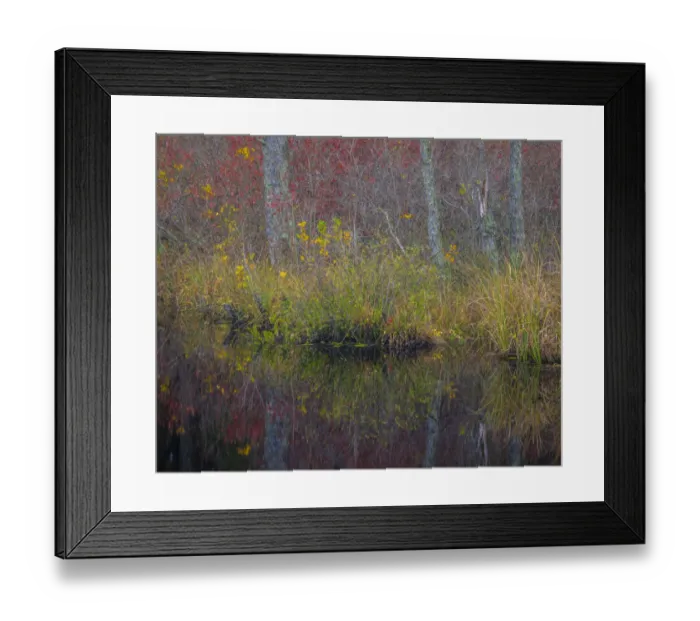 Framed Print : USA, New Jersey, Wharton State Forest. Forest reflections in pond Framed Print : USA, New Jersey, Wharton State Forest. Forest reflections in pond