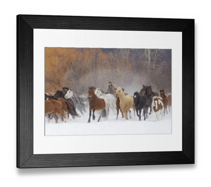 Framed Print : Cowboys during winter roundup, Kalispell, Montana Framed Print : Cowboys during winter roundup, Kalispell, Montana