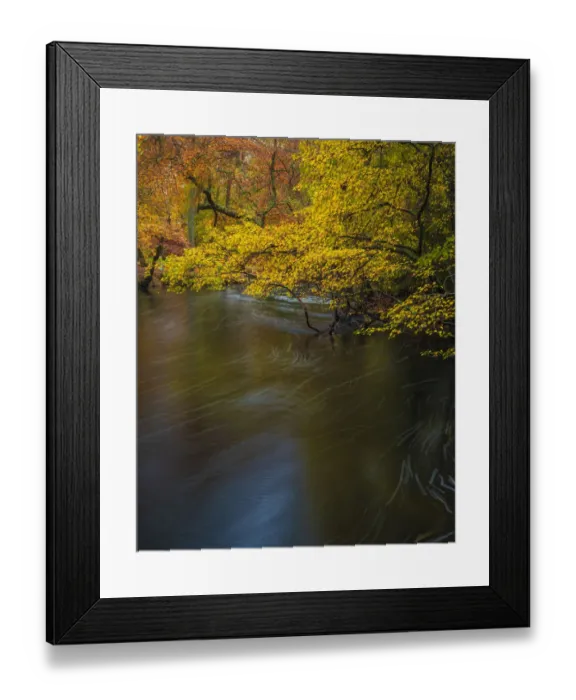 Framed Print : USA, New Jersey, Wharton State Forest. River and forest in autumn
