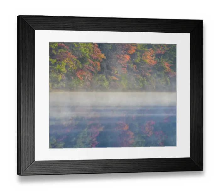 Framed Print : USA, New Jersey, Belleplain State Forest. Sunrise on lake fog Framed Print : USA, New Jersey, Belleplain State Forest. Sunrise on lake fog