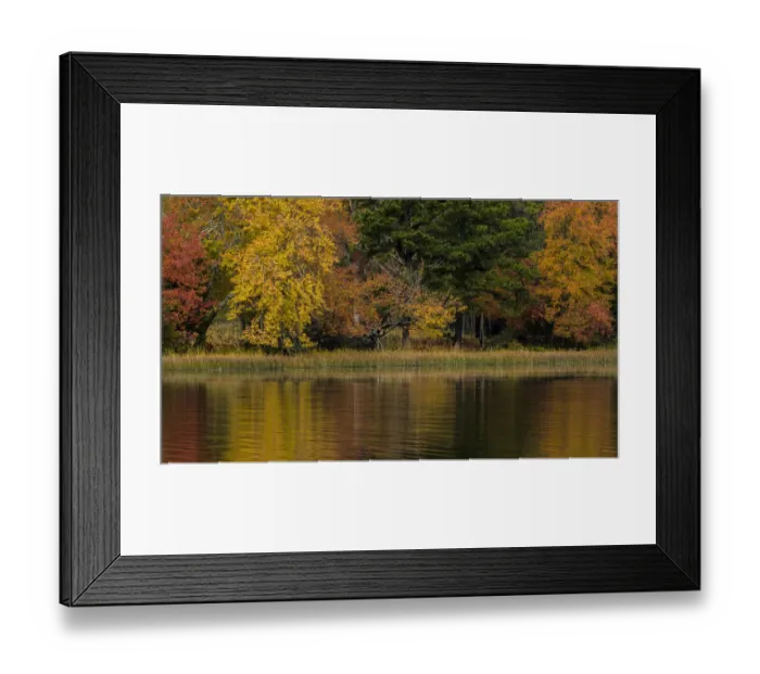 Framed Print : USA, New Jersey, Wharton State Forest. Lake and forest in autumn