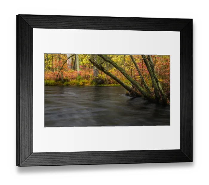 Framed Print : USA, New Jersey, Wharton State Forest. River and forest in autumn Framed Print : USA, New Jersey, Wharton State Forest. River and forest in autumn