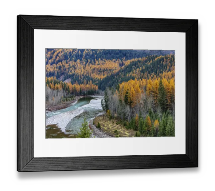 Framed Print : Middle Fork of the Flathead River in autumn in Glacier National Park, Montana, USA Framed Print : Middle Fork of the Flathead River in autumn in Glacier National Park, Montana, USA