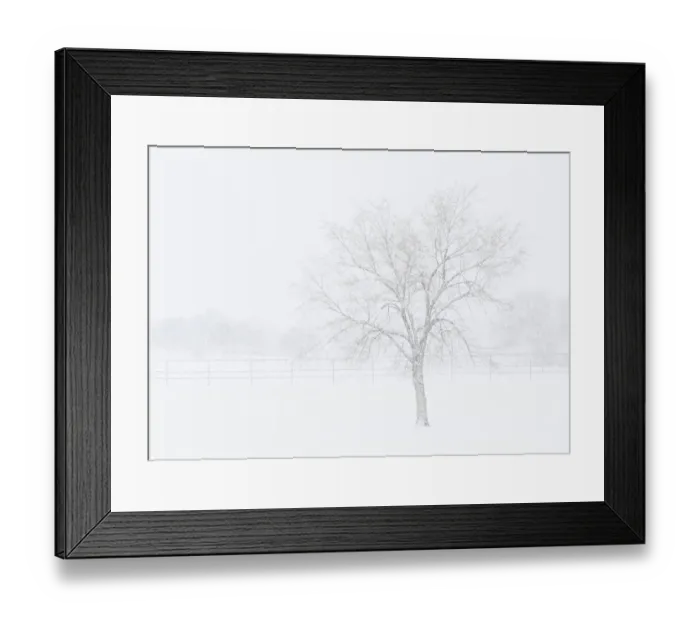 Framed Print : Snowscape in New Mexico Framed Print : Snowscape in New Mexico