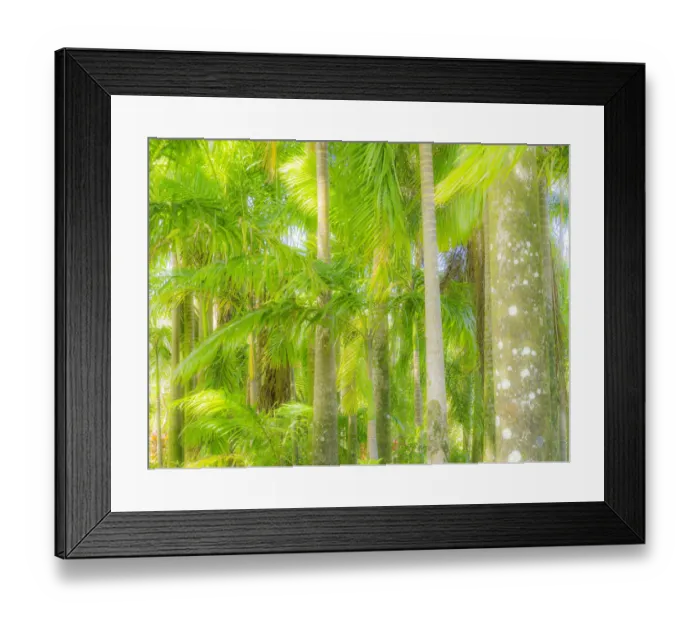 Framed Print : Hawaii, Maui, Road to Hana and the lush tropical Palm Trees