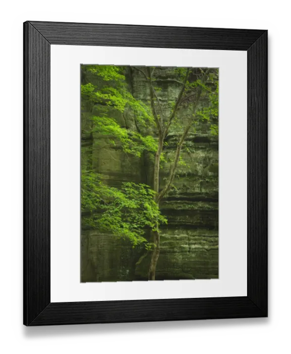 Framed Print : Kaskaskia Canyon, Starved Rock State Park, LaSalle County, Illinois