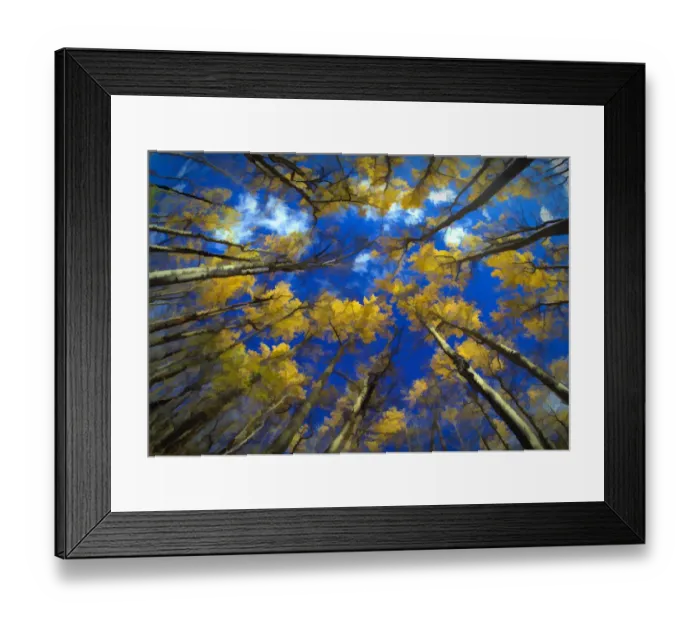 Framed Print : USA, Vermont. Abstract of looking up at trees with autumn foliage Framed Print : USA, Vermont. Abstract of looking up at trees with autumn foliage