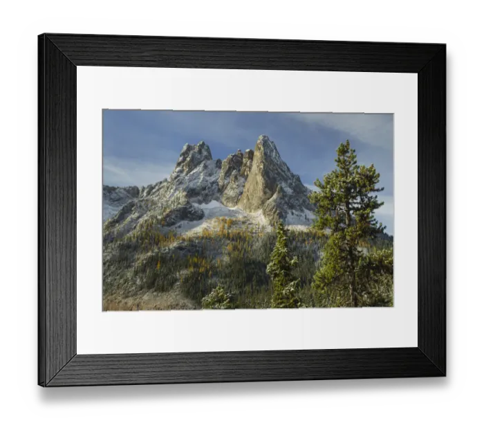 Framed Print : Liberty Bell Mountain and Early Winters Spires seen from Washington State Pass Overlook Framed Print : Liberty Bell Mountain and Early Winters Spires seen from Washington State Pass Overlook