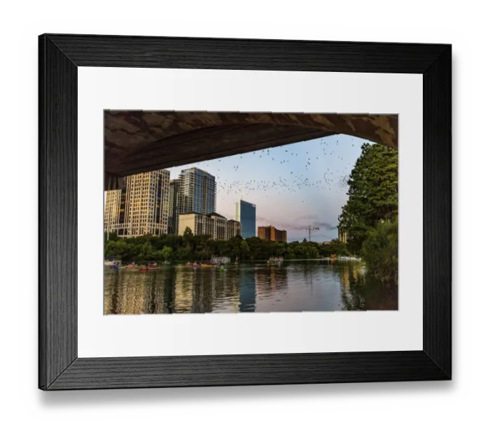 Framed Print : Mexican free tailed bats fly from the Congress Street Bridge at dusk in Austin, Texas Framed Print : Mexican free tailed bats fly from the Congress Street Bridge at dusk in Austin, Texas