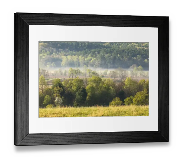 Framed Print : Foggy meadow at sunrise, Cades Cove, Smoky Mountains National Park, Tennessee Framed Print : Foggy meadow at sunrise, Cades Cove, Smoky Mountains National Park, Tennessee