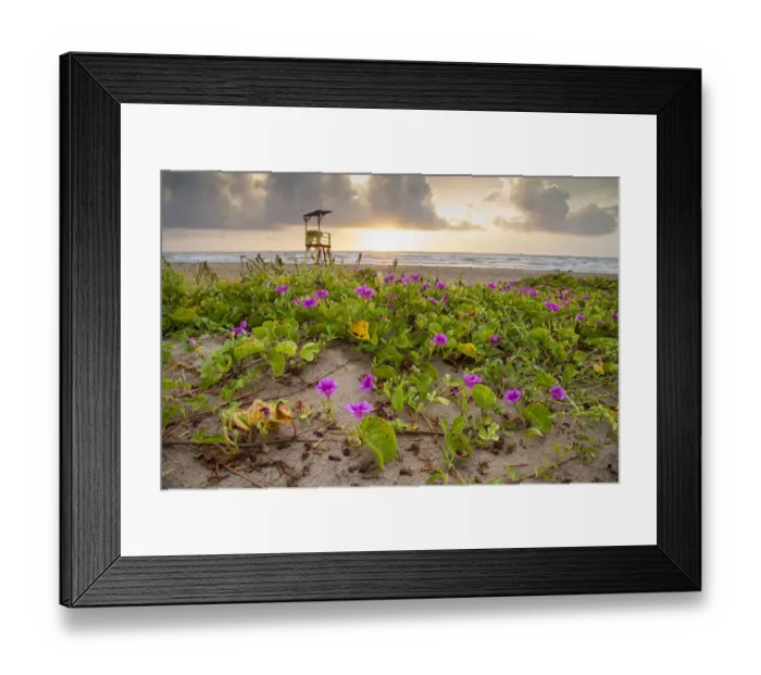 Framed Print : Sunrise at South Padre Island Framed Print : Sunrise at South Padre Island