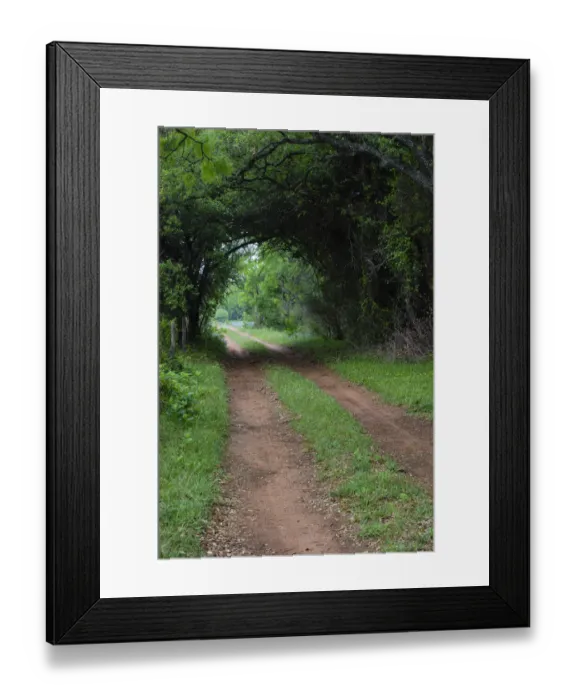 Framed Print : Farm road and pathway Framed Print : Farm road and pathway