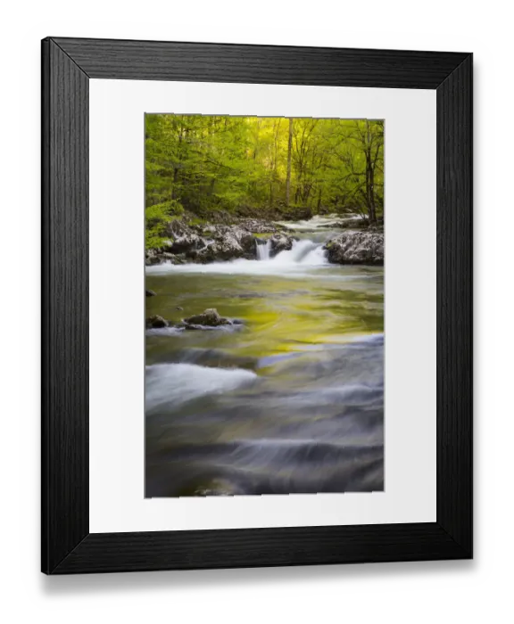 Framed Print : USA, Tennessee. Sparks Lane in the spring at Cades Cove Framed Print : USA, Tennessee. Sparks Lane in the spring at Cades Cove