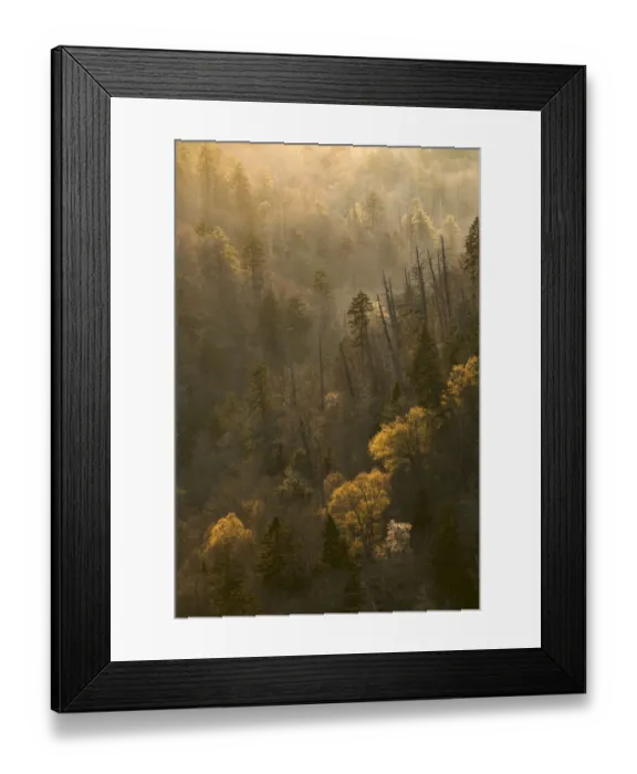 Framed Print : Spring sunset from Morton Overlook, Great Smoky Mountains National Park, Tennessee Framed Print : Spring sunset from Morton Overlook, Great Smoky Mountains National Park, Tennessee