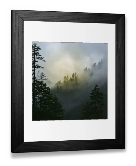 Framed Print : Mountain Clouds at Newfound Gap, Smoky Mountains National Park, Tennessee, USA Framed Print : Mountain Clouds at Newfound Gap, Smoky Mountains National Park, Tennessee, USA