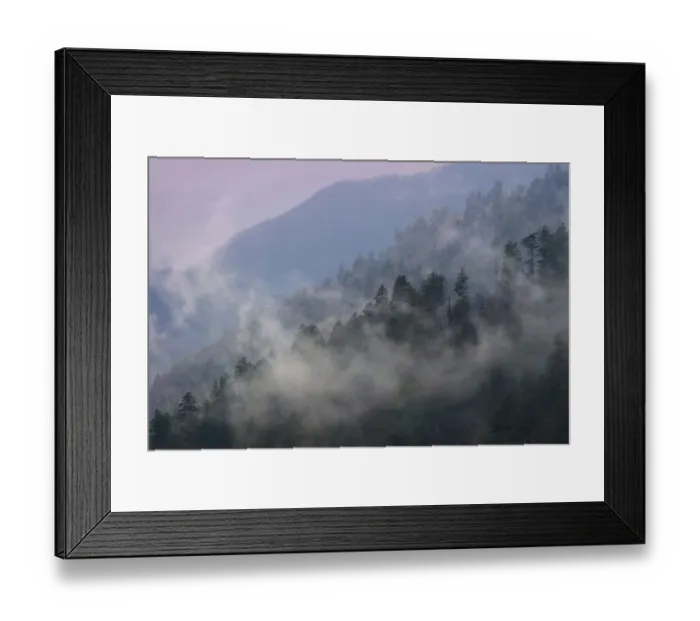 Framed Print : Mountain Clouds at Newfound Gap, Smoky Mountains National Park, Tennessee, USA Framed Print : Mountain Clouds at Newfound Gap, Smoky Mountains National Park, Tennessee, USA