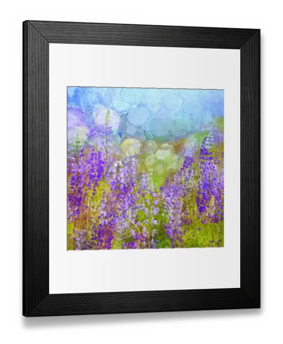 Framed Print : USA, California, Redwood National Park. Abstract of lupine flowers in fog Framed Print : USA, California, Redwood National Park. Abstract of lupine flowers in fog
