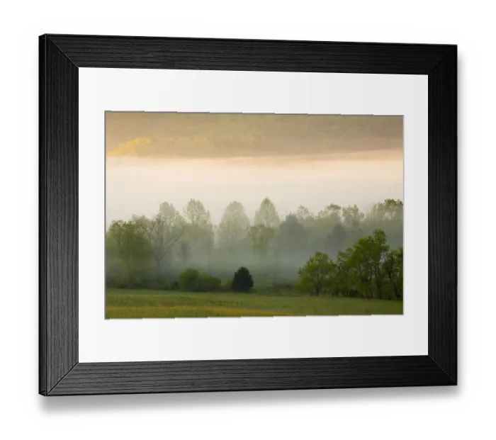 Framed Print : USA, Tennessee. Early morning fog in Cades Cove Framed Print : USA, Tennessee. Early morning fog in Cades Cove