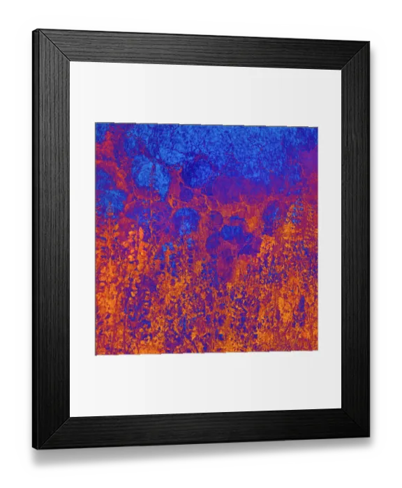 Framed Print : USA, California, Redwood National Park. Abstract of lupine flowers and tan oak in fog Framed Print : USA, California, Redwood National Park. Abstract of lupine flowers and tan oak in fog