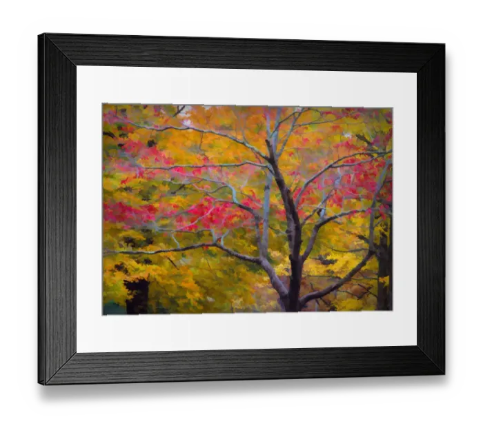 Framed Print : USA, Tennessee. Abstract of autumn forest landscape Framed Print : USA, Tennessee. Abstract of autumn forest landscape