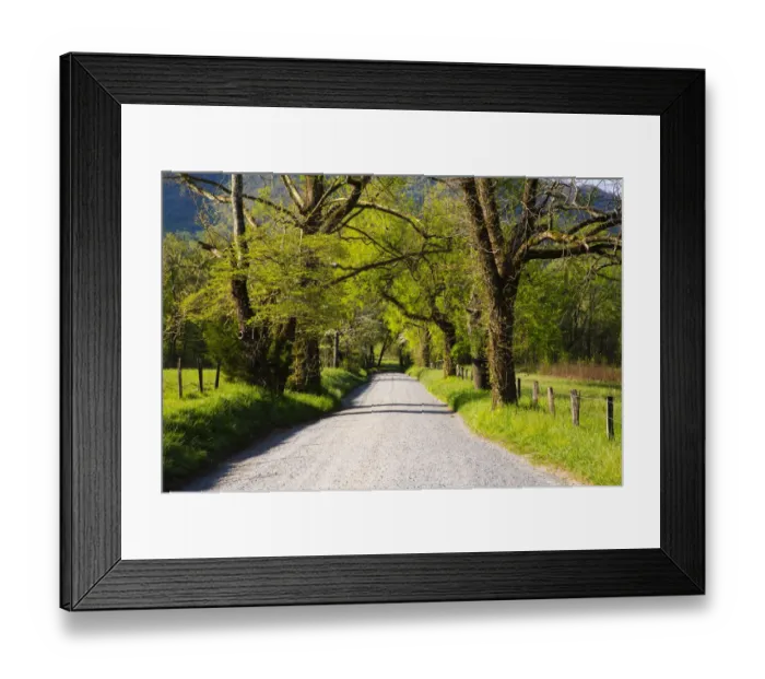 Framed Print : USA, Tennessee, Sparks Lane in the spring at Cades Cove Framed Print : USA, Tennessee, Sparks Lane in the spring at Cades Cove