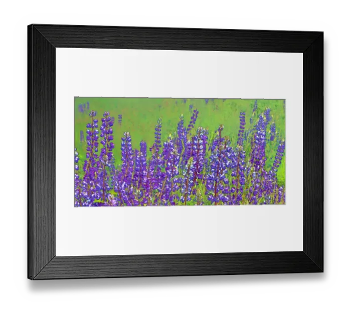 Framed Print : USA, California, Redwood National Park. Abstract of lupine flowers Framed Print : USA, California, Redwood National Park. Abstract of lupine flowers