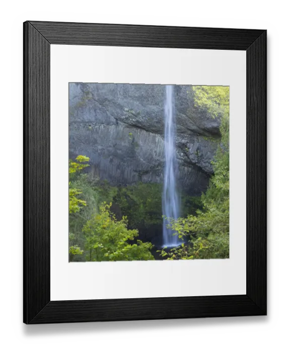 Framed Print : OR, Columbia River Gorge National Scenic Area, Latourell Falls