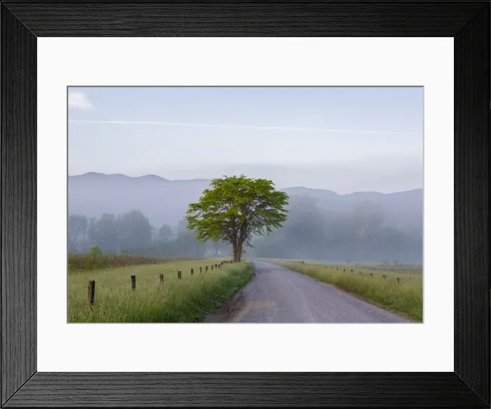 Framed Print : Hyatt Lane in fog Cades Cove Great Smoky Mountains National Park, Tennessee