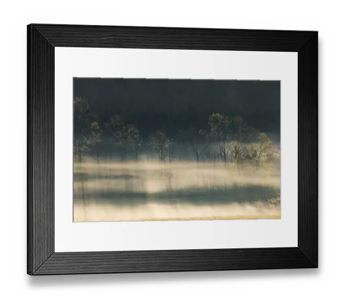Framed Print : Foggy meadow at sunrise, Cades Cove, Smoky Mountains National Park, Tennessee Framed Print : Foggy meadow at sunrise, Cades Cove, Smoky Mountains National Park, Tennessee