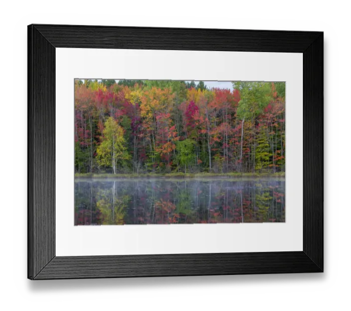 Framed Print : Thornton Lake in fall color, Alger County, Michigan Framed Print : Thornton Lake in fall color, Alger County, Michigan