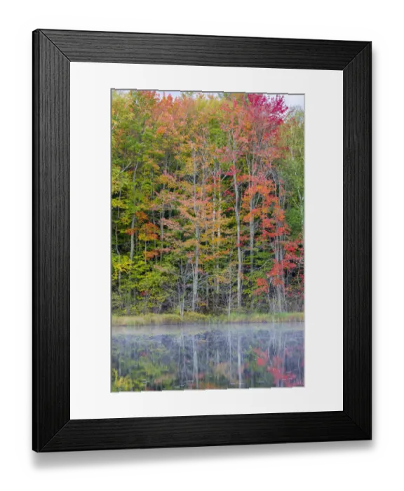 Framed Print : Thornton Lake in fall color, Alger County, Michigan