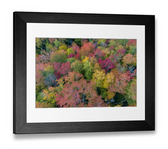 Framed Print : Aerial view of Hugoboom Lake in fall color, Alger County, Michigan Framed Print : Aerial view of Hugoboom Lake in fall color, Alger County, Michigan